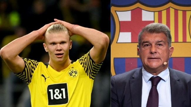 天空体育：纽卡7500万欧+500万欧浮动正式报价谢什科