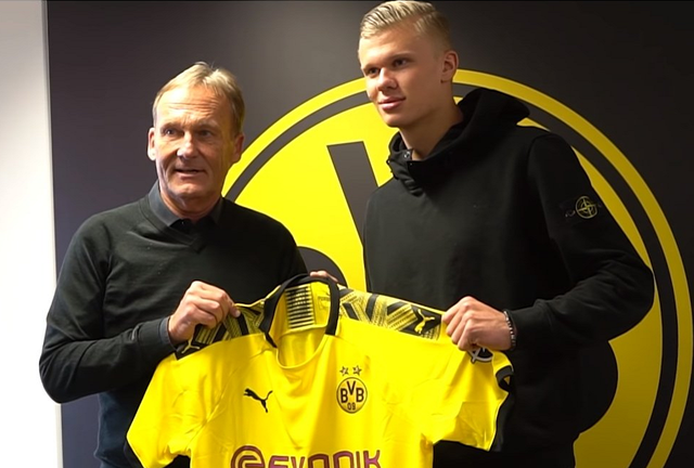 绿茵挥杆，心境随行——我的高尔夫初体验（碧草挥杆，心随球走——我的高尔夫初次邂逅）